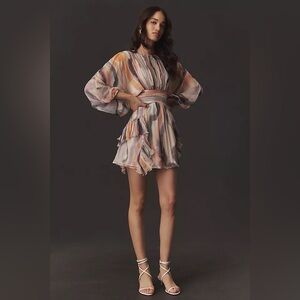 Dawn V-Neck Long Sleeve Mini Dress